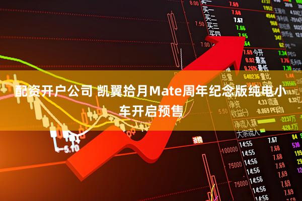 配资开户公司 凯翼拾月Mate周年纪念版纯电小车开启预售