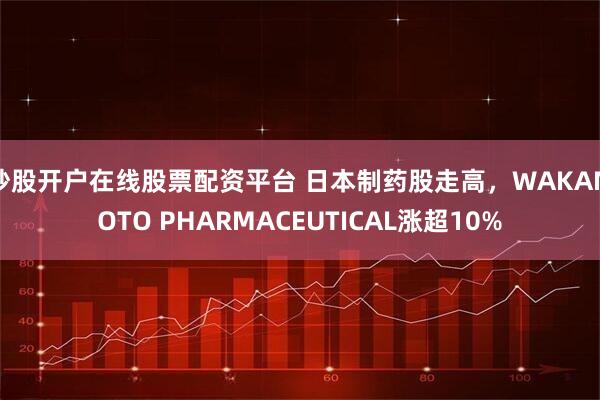 炒股开户在线股票配资平台 日本制药股走高，WAKAMOTO PHARMACEUTICAL涨超10%