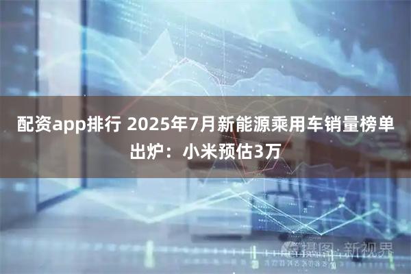 配资app排行 2025年7月新能源乘用车销量榜单出炉：小米预估3万