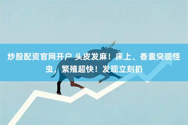 炒股配资官网开户 头皮发麻！床上、香囊突现怪虫，繁殖超快！发现立刻扔
